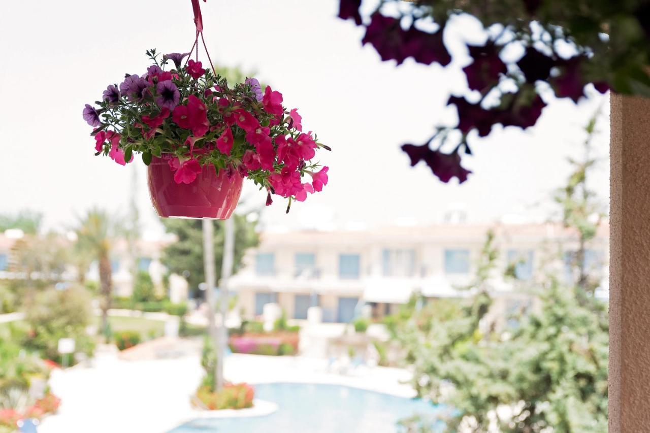 Holiday Apartment Walking Distance To The Sea Paphos Bagian luar foto
